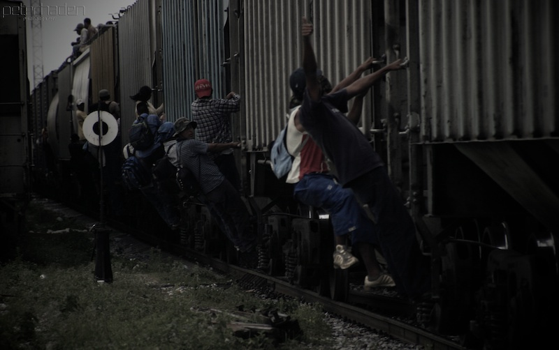 migrants
