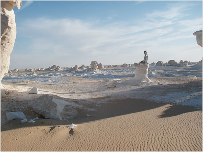The White Desert