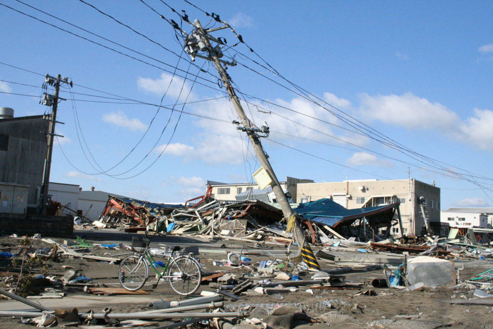 Pandemic and Disaster: Insights from Seventy Years of Social Science ...