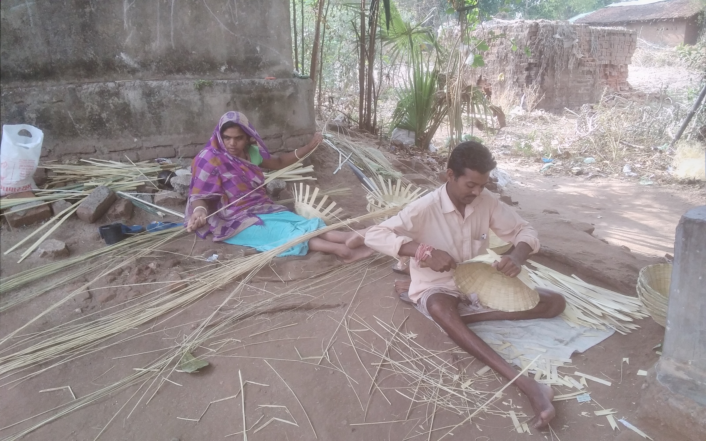 Members of the Harijan community make baskets out of bamboo to sell, Moti Sadli, Gujarat.