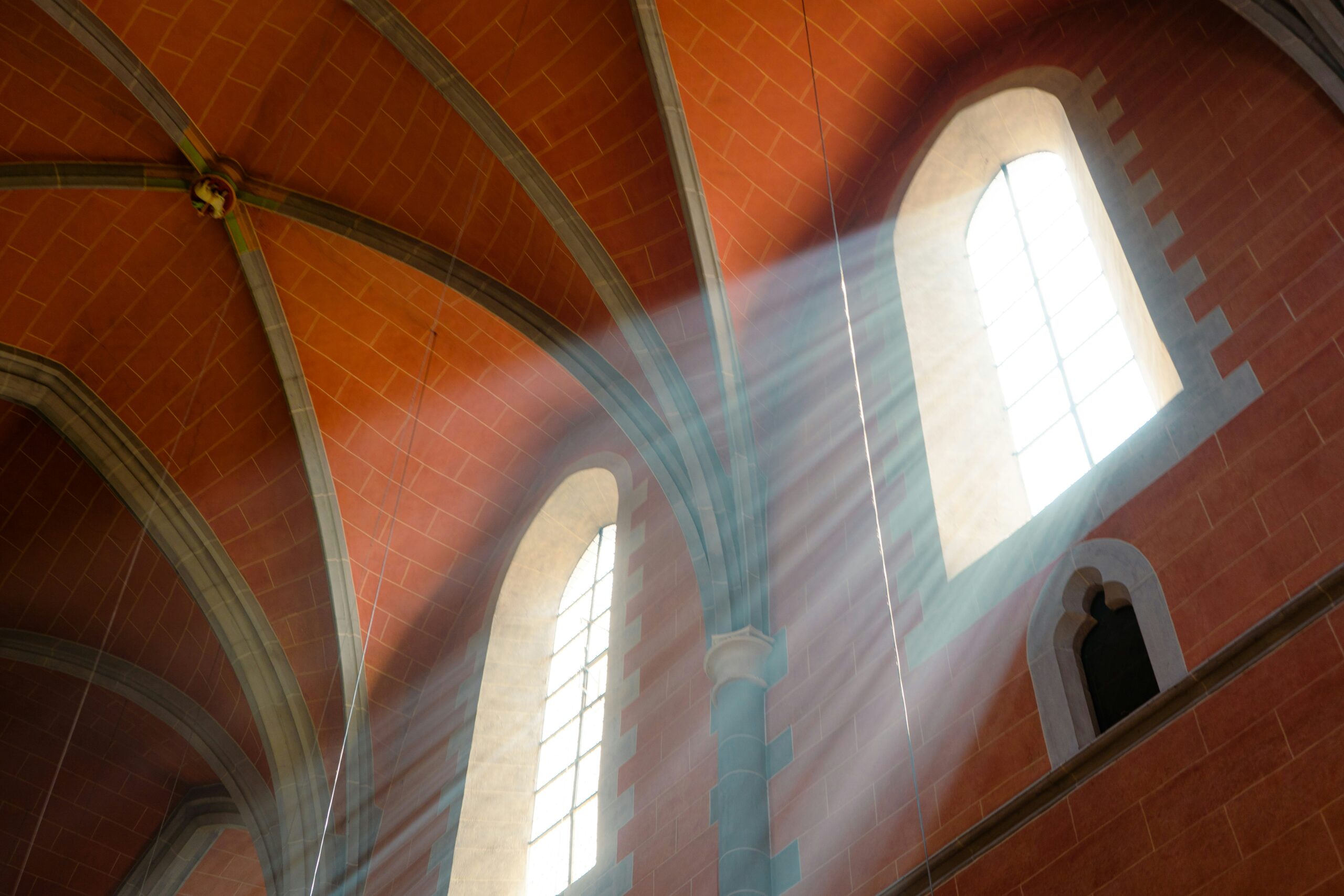 March 2026 Newsletter